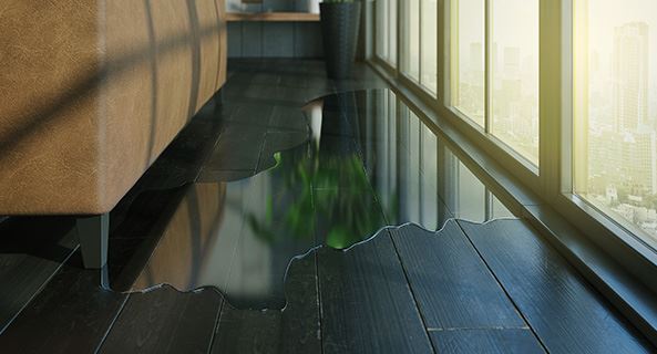 Water Damage Restoration